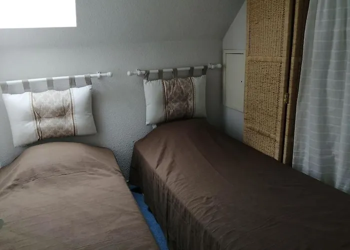 Daire Parking Gratuit Navette Telecabines Week End Et Scolaires